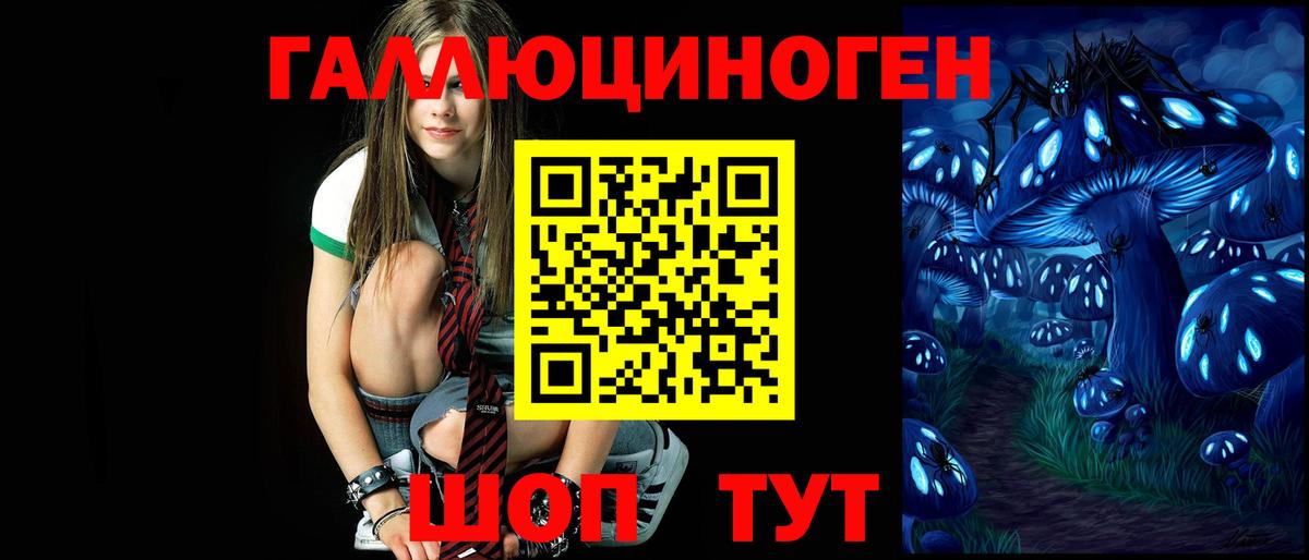 Краснокаменск  Псилоцибиновые грибы мухоморы  Вход с VPN 