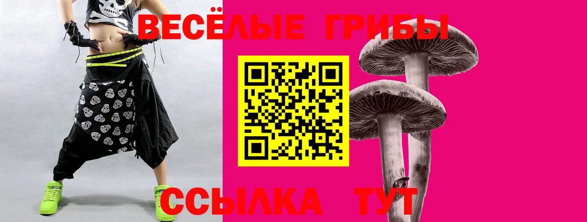 Псилоцибиновые грибы Psilocybe Краснокаменск